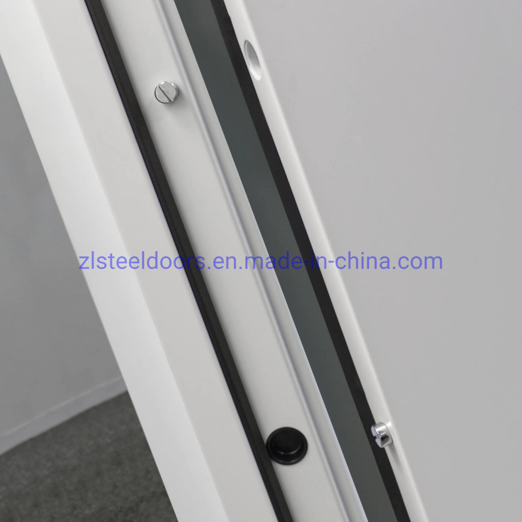 European Style Steel Doors Windows Steel Front Doors Steel Security Doors with Toughened Glass