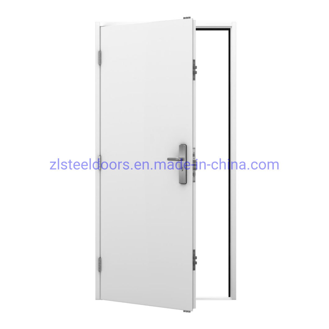European Style Steel Doors Windows Steel Front Doors Steel Security Doors with Toughened Glass