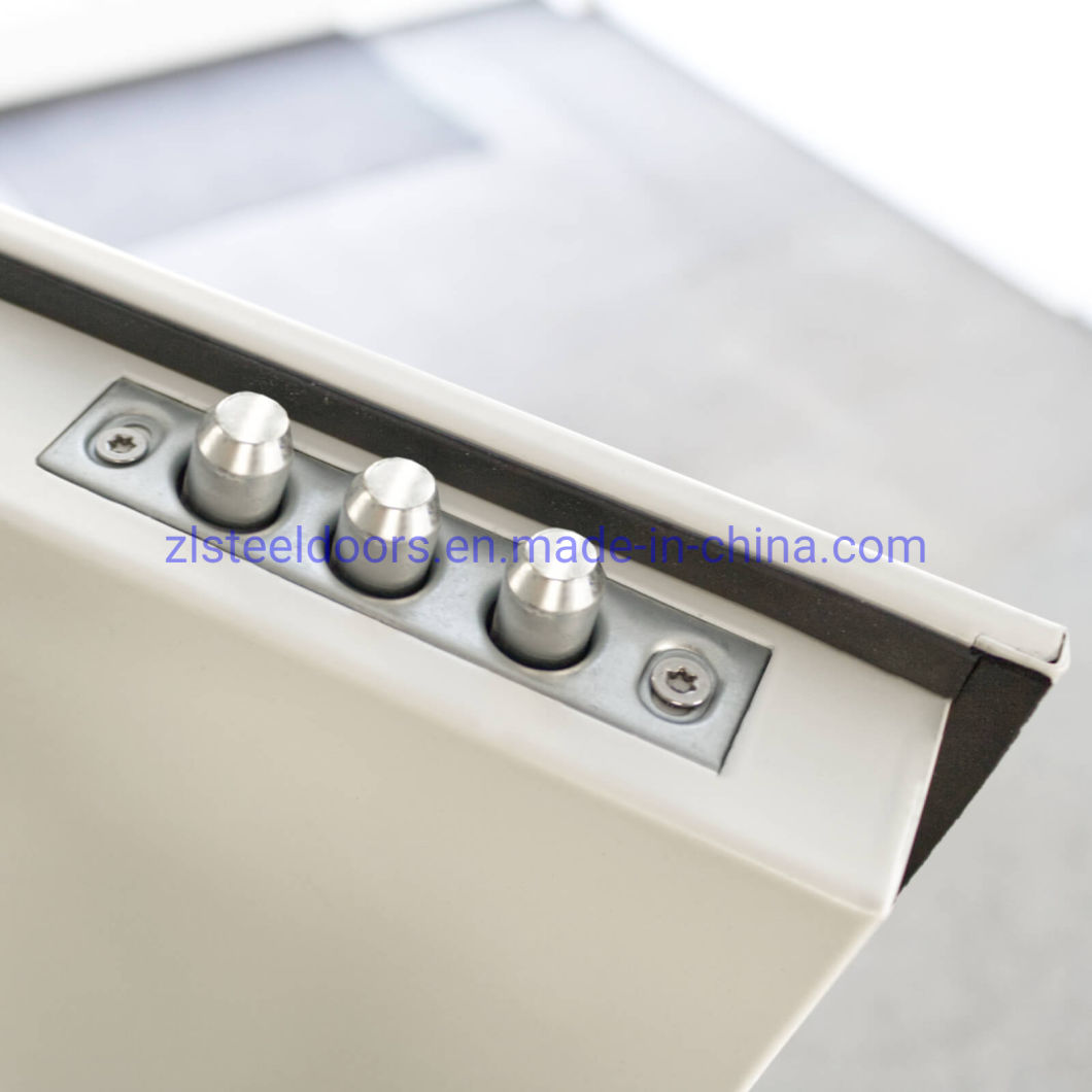 European Style Steel Doors Windows Steel Front Doors Steel Security Doors with Toughened Glass