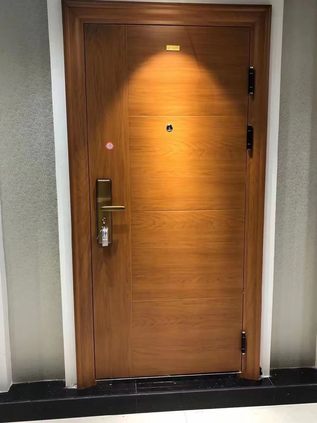 Australia Marine Double Action Fire Steel Door with Hardware