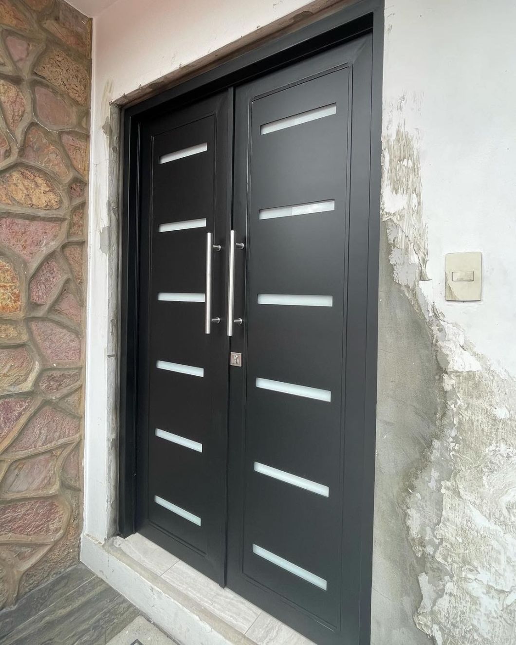 Hot Sale Decorative Strip Israel Steel Security Door
