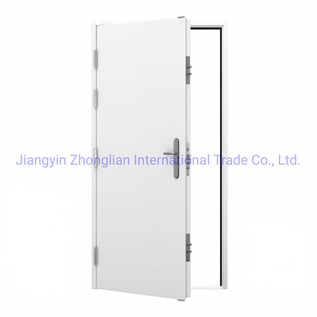 China Manufacturer House Front Flat Door Designs