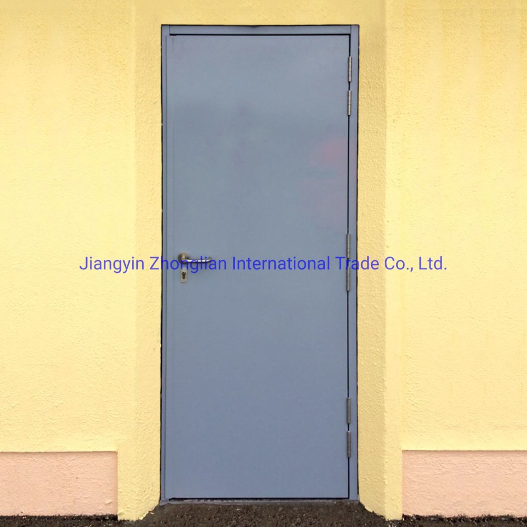 Customizable Style High Security Steel Doors Fire Doors for Modular House Apartment