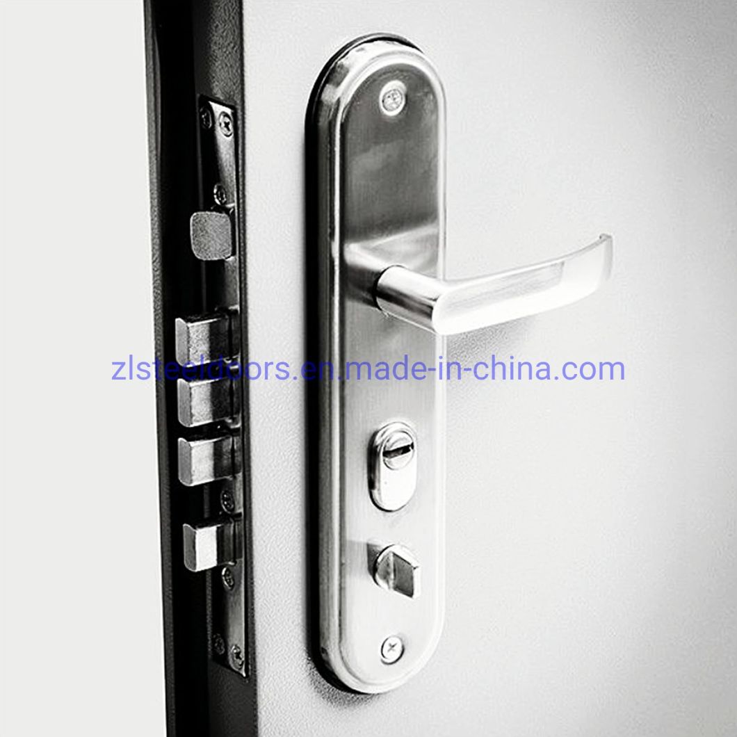 Customized Prefabricated Building Doors Steel Doors Security Doors for Modular House