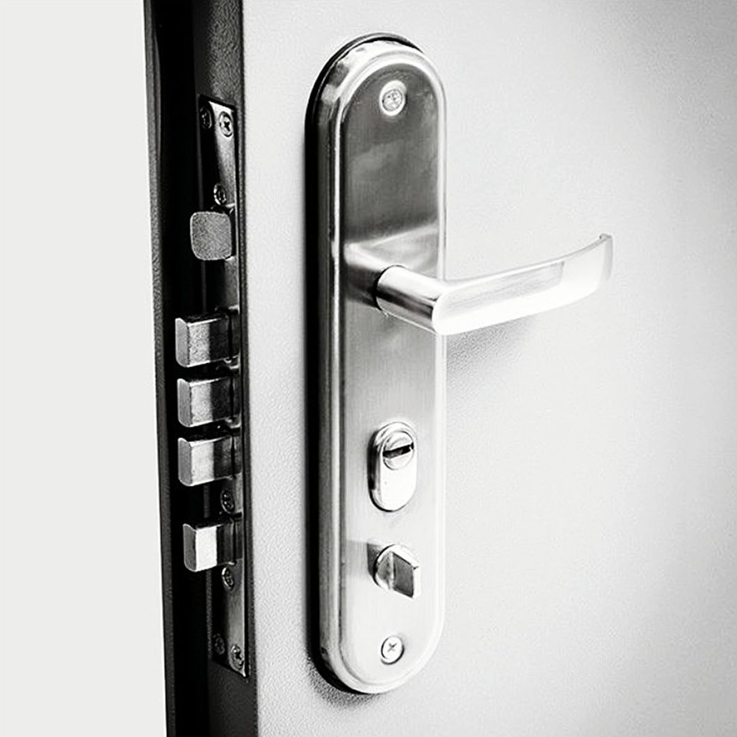 Steel Budget Door Modular House Doors Customized Production Best Price in China Security Doors European Market