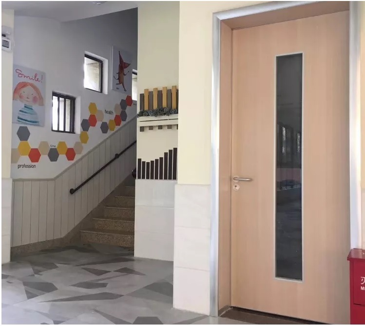 Academic School Clarss Room Meeting Room Steel Door with Pull Handle