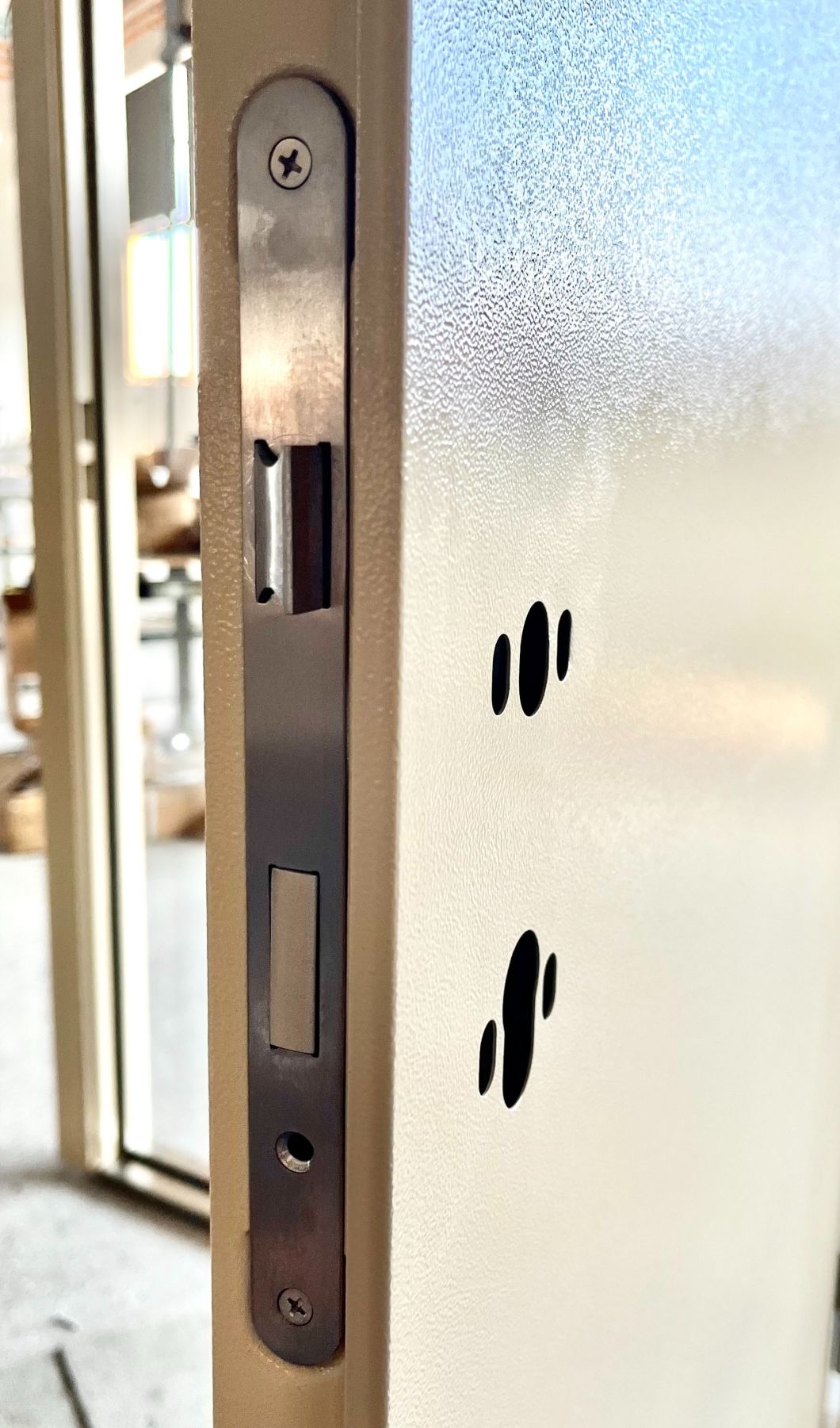 Quick Installation Design Steel Door for Container Modification House