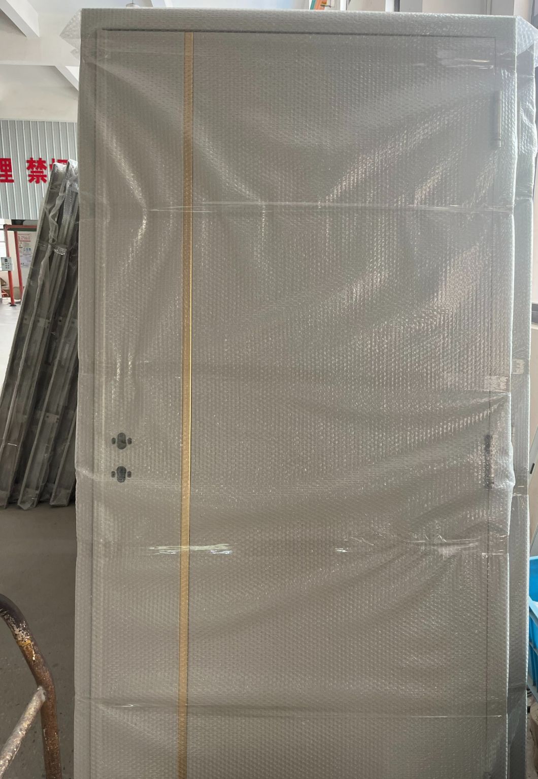 Hot Sale Decorative Strip Israel Steel Security Door
