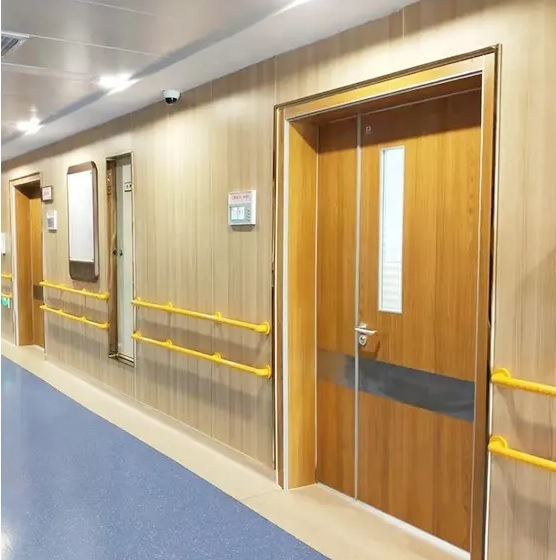 Hospital Entry Door, Fireproof Door for Hospital and Clinic
