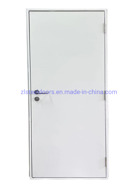 Wholesale Custom Size Prefab House Doors Commerical Steel Doors for Hotel and Apartment