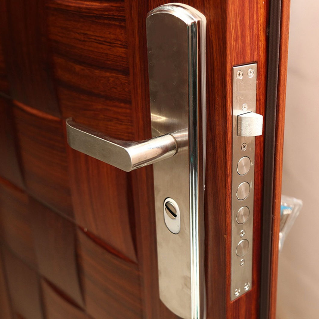 Custom Style Main Gate Front Security Steel Door