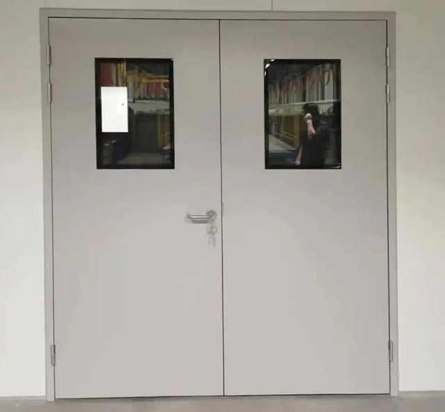 Customization Cheap Entry Steel Lab Door and Windows Fireproof Medical Door