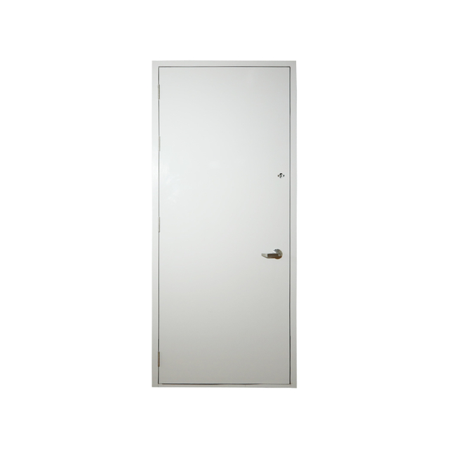 Apartment Style Steel Door, Customize Anti-Theft Home Door Security Steel Metal Door