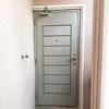 Hot Sale Decorative Strip Israel Steel Security Door