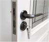 Factory Cheap Price Stainless Steel Door for Interior Bedroom Modern Design Galvanized Finish Door