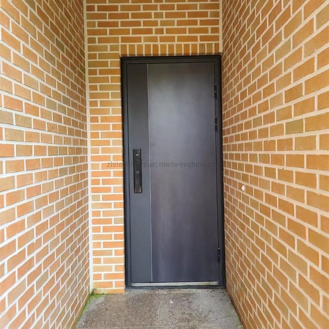 New Design Garage Doors for Sale Whole Sale Israel Steel Door Interior Modern School Door