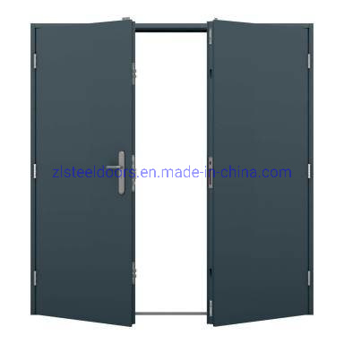 China Budget Steel Doors Modular House Shipping Container Doors Wholesale Fireproof Doors with CE Certificate
