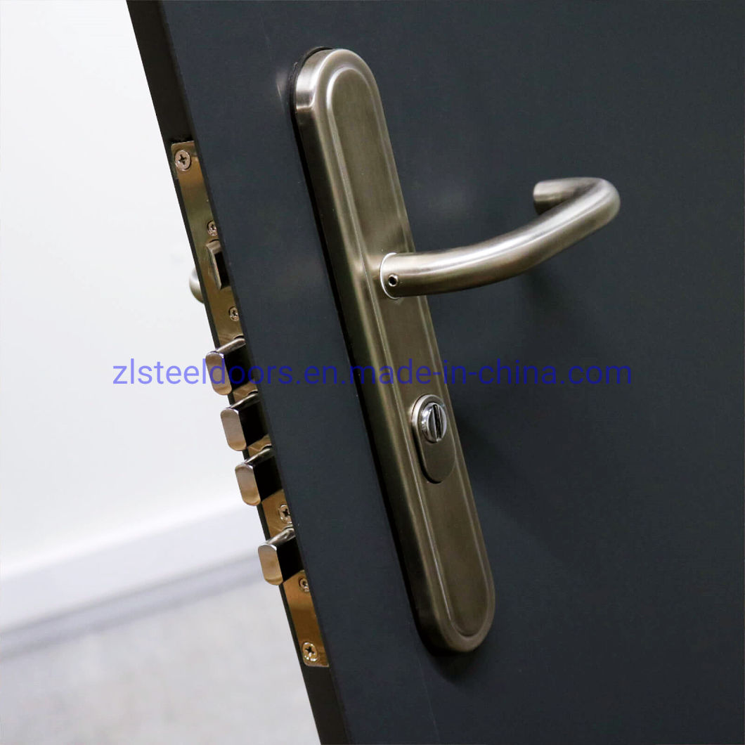 Multipoint Lock Locking System Steel Personnel Door Galvanized Steel Doors for Shipping Container and Modular Houses