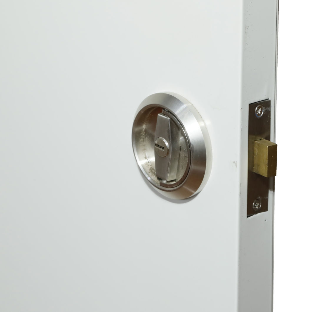 Galvanized Steel Door Security Rock Wool Insulation Apartment Installation