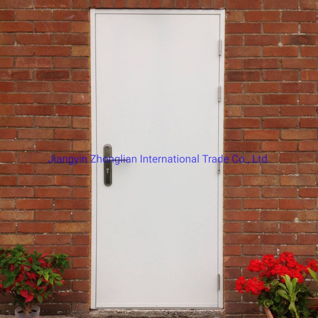 Office Modula Customization Steel Doors Security Doors for Hostel Apartment