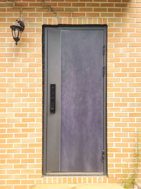 Custom Modern Security Steel Doors with Custom Lockset High Level Appearance