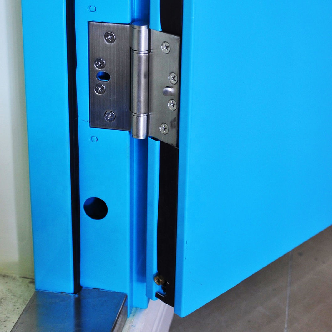 Stainless Steel Security Hinges for Security Door