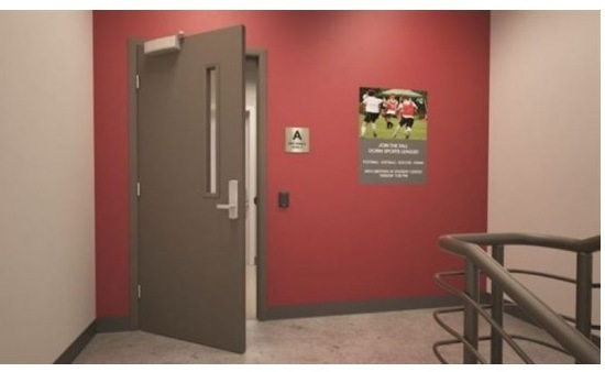 Premium Steel Lush Door Factory Price Emergency Fire Rated Door