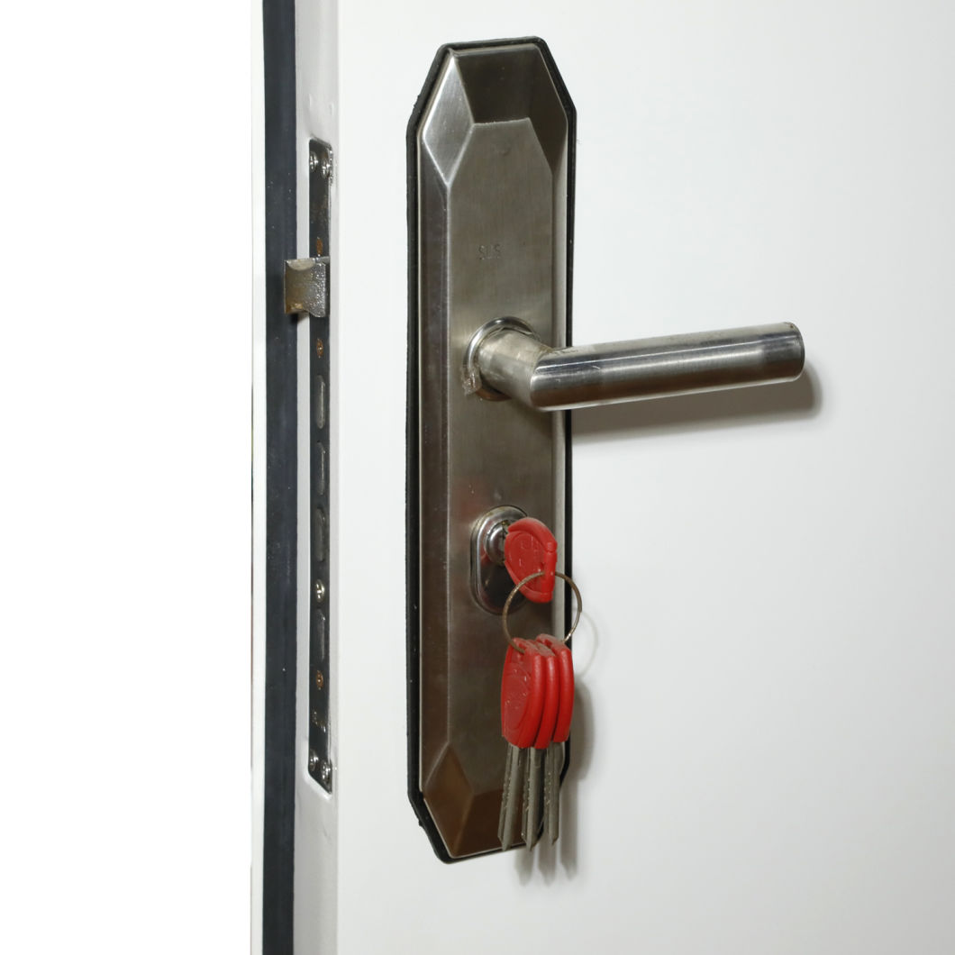 Tubular Lock Morden Design Good Prehung Door for Prefab Hose Modular Building