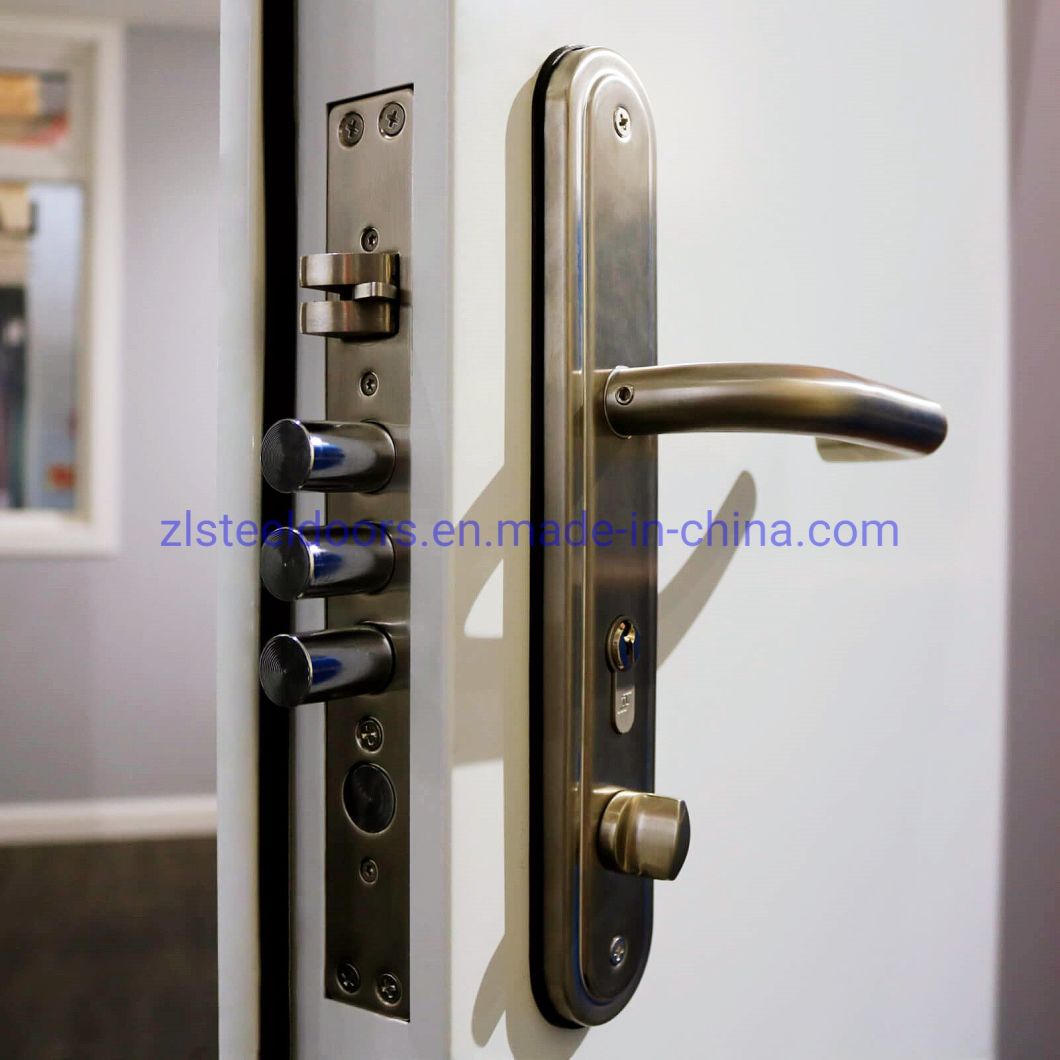 European Security Doors Apartment Security Steel Container Doors CE Certificate