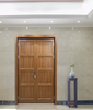 Front Pivot Steel Door Rust Resistant and Water Proof Entry Door