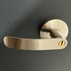 Bespoke Emergency Steel Door with 2-Point Anti-Panic Bar Locking