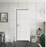 Front Pivot Steel Door Rust Resistant and Water Proof Entry Door