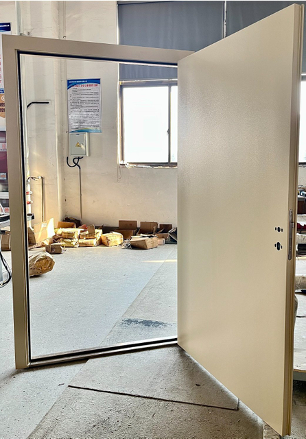 Quick Installation Design Steel Door for Container Modification House