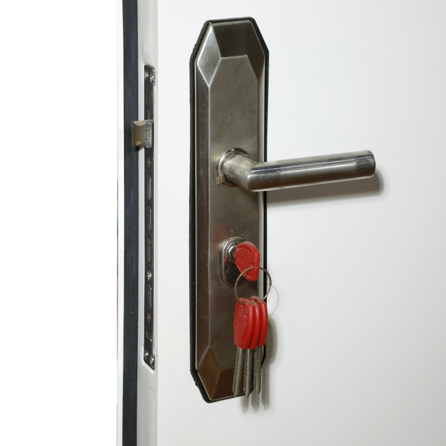 Morden Design Best Security Prehung Door for Prefab Hose Modular Building