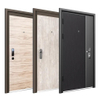 Modern Style Main Entrance Luxury Interior Door Cheap Exterior Steel Door for Sale