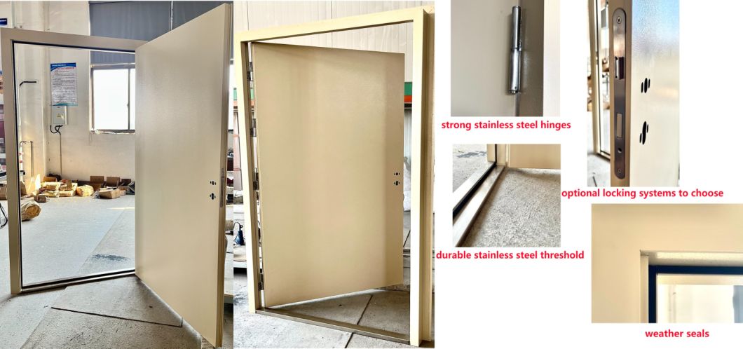 Quick Installation Design Steel Door for Container Modification House