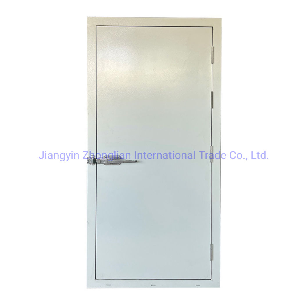 Made in China Customized Design Exterior Steel Waterproof Door