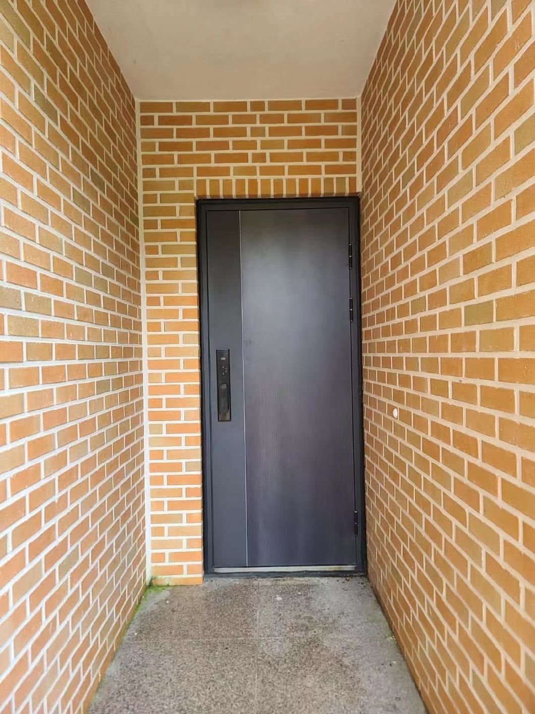 Custom Modern Security Steel Doors with Custom Lockset High Level Appearance