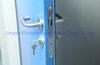 Metal GMP Pharmaceutical Cleanroom Door