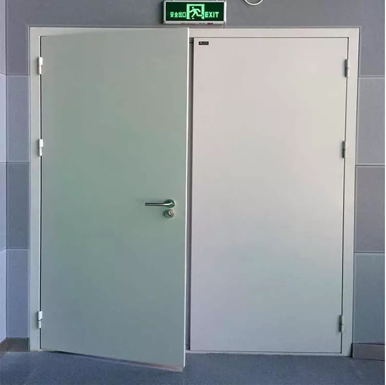 Metal Double Leaf Customized 1 Hour Fire Proof Door with Push Bar