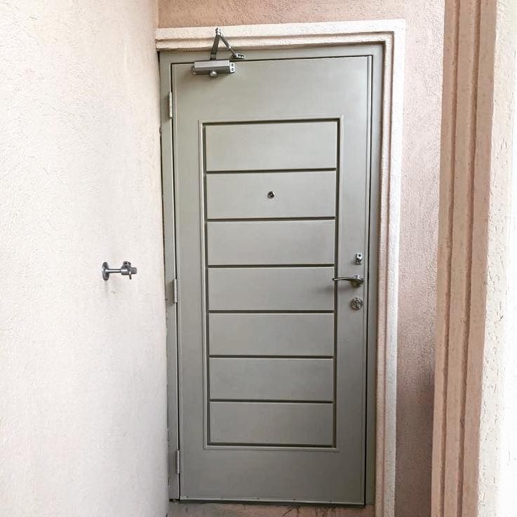 Hot Sale Decorative Strip Israel Steel Security Door
