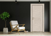 Front Pivot Steel Door Rust Resistant and Water Proof Entry Door