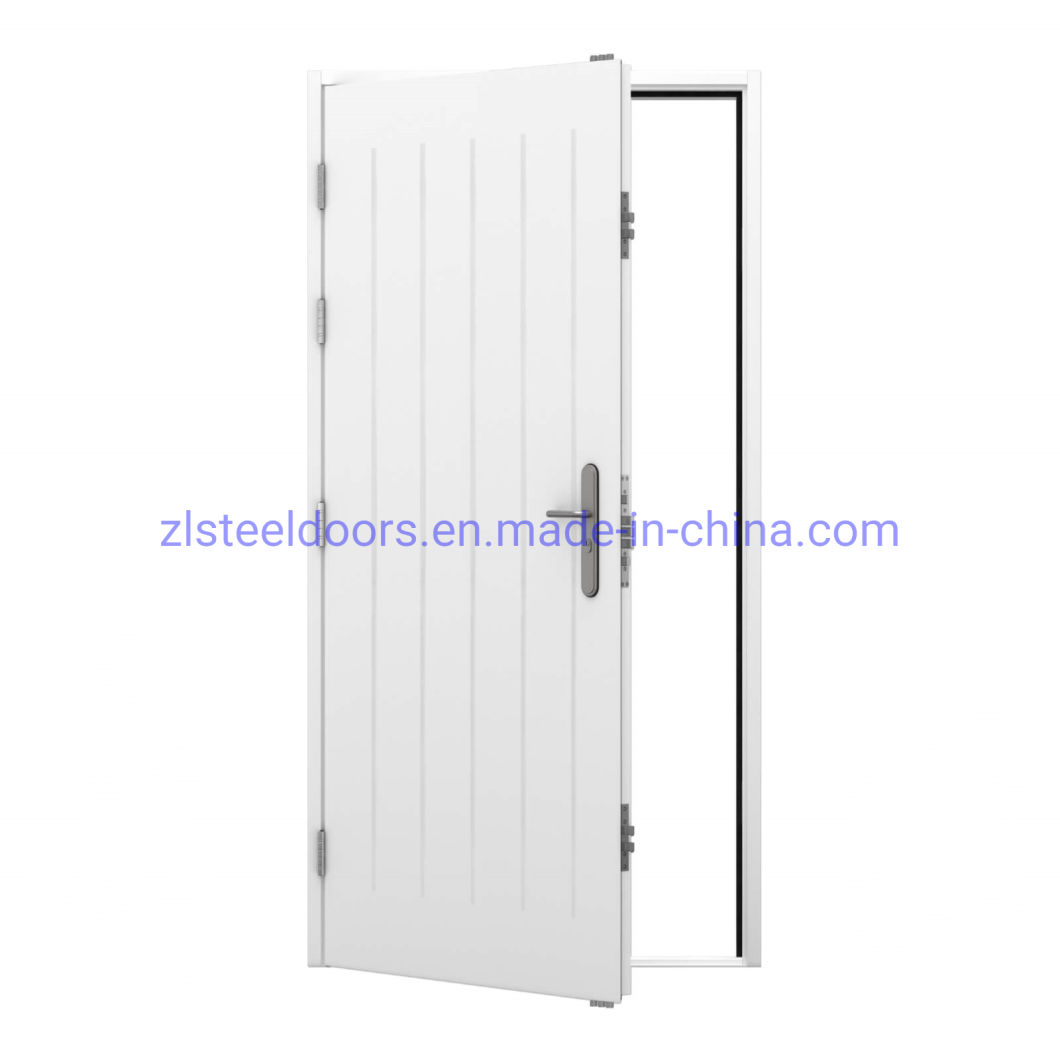 European Modern Style Heavy Duty Security Steel Front Doors Apartment Doors Swing Doors