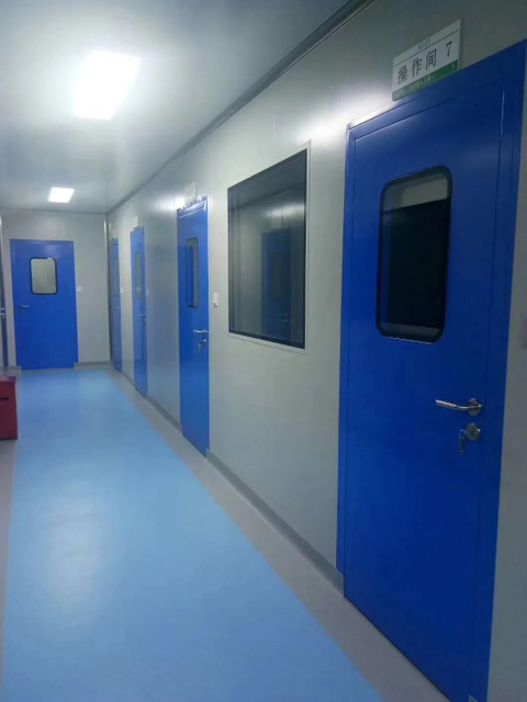 Cleanroom Sandwich Panel Door with Interlocking System