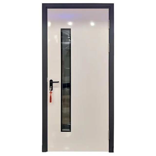 Bespoke Galvanized Steel Medical Swing Clean Room Door