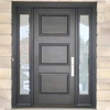 Double Front Entry Doors with Windows French Main Modern Steel Door Design