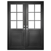Dual Pane Tempered Glass Window Double Flat Swing Steel Door