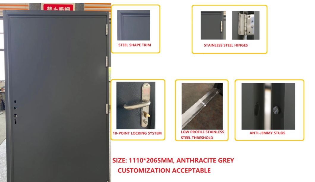 High Quality Cheap Best Factory Shipping Container Door, Security Door Factory Price
