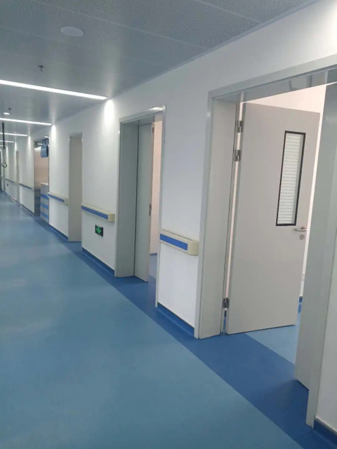 Zl Steel Cleanroom Doors with ISO Purification/Cleaning/Environmental Protection Certificates