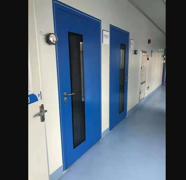 Zl Steel Door Customized Color Low for Clean Room Workshop Door